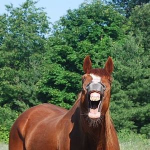 Meet your Posher, Patricia